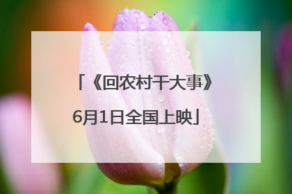 《回农村干大事》6月1日全国上映