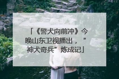 《警犬向前冲》今晚山东卫视播出，“神犬奇兵”炼成记