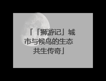 「狮游记」城市与候鸟的生态共生传奇