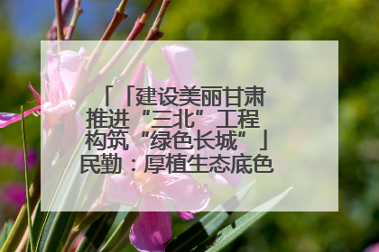 「建设美丽甘肃 推进“三北”工程 构筑“绿色长城”」民勤：厚植生态底色 筑牢绿色屏障