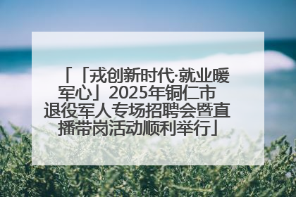 「戎创新时代·就业暖军心」2025年铜仁市退役军人专场招聘会暨直播带岗活动顺利举行