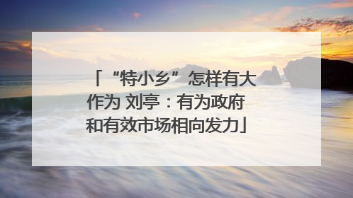 “特小乡”怎样有大作为 刘亭：有为政府和有效市场相向发力