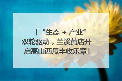 “生态 + 产业”双轮驱动，兰溪黄店开启高山西瓜丰收乐章