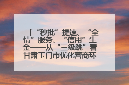 “秒批”提速、“全情”服务、“信用”生金——从“三级跳”看甘肃玉门市优化营商环境的进阶之路