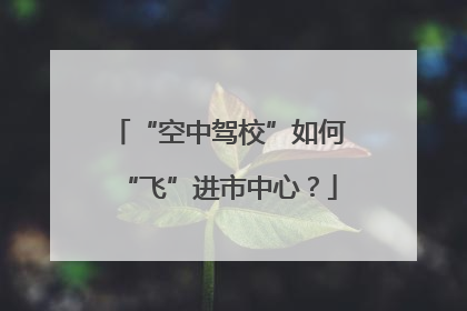 “空中驾校”如何“飞”进市中心？