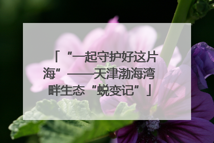 “一起守护好这片海”——天津渤海湾畔生态“蜕变记”