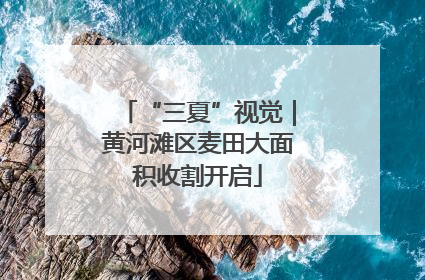 “三夏”视觉｜黄河滩区麦田大面积收割开启