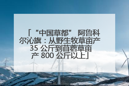 “中国草都” 阿鲁科尔沁旗：从野生牧草亩产 35 公斤到苜蓿草亩产 800 公斤以上