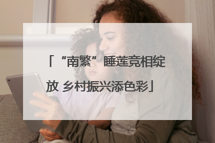 “南繁”睡莲竞相绽放 乡村振兴添色彩