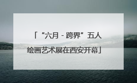 “六月 - 跨界”五人绘画艺术展在西安开幕