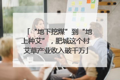 “地下挖煤”到“地上种艾”，肥城这个村艾草产业收入破千万