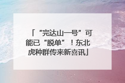 “完达山一号”可能已“脱单”！东北虎种群传来新喜讯