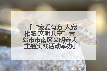 “宠爱有方 人宠相融 文明共享”青岛市市南区文明养犬主题实践活动举办