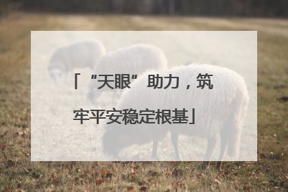 “天眼”助力，筑牢平安稳定根基