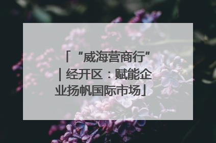 “威海营商行”｜经开区：赋能企业扬帆国际市场