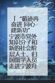 “循迹再奋进 同心建新功” 宁波市党外知识分子和新的社会阶层人士、归国留学人员走进宁波舟山港穿山港区