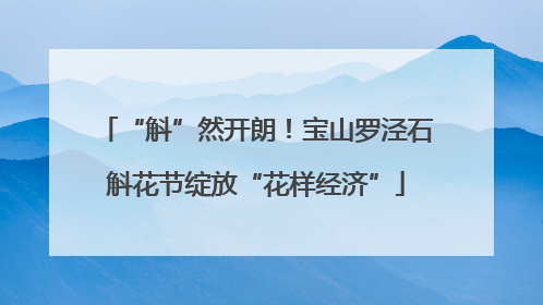 “斛”然开朗！宝山罗泾石斛花节绽放“花样经济”