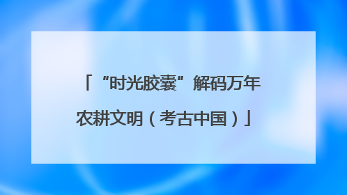 “时光胶囊”解码万年农耕文明（考古中国）