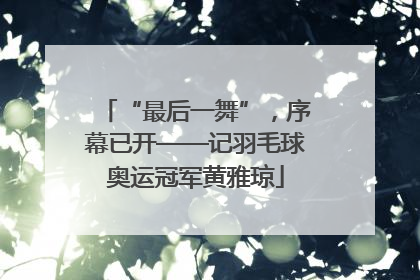 “最后一舞”，序幕已开——记羽毛球奥运冠军黄雅琼