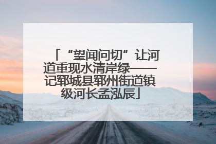 “望闻问切”让河道重现水清岸绿——记郓城县郓州街道镇级河长孟泓辰