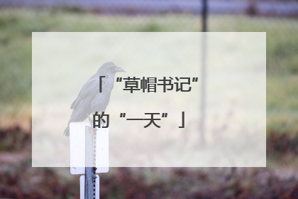 “草帽书记”的“一天”