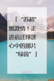 “苏超”燃激情！走进宿迁球迷心中的那片“绿茵”
