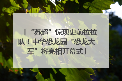 “苏超”惊现史前拉拉队！中华恐龙园“恐龙大军”将亮相开幕式