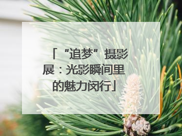 “追梦”摄影展：光影瞬间里的魅力闵行