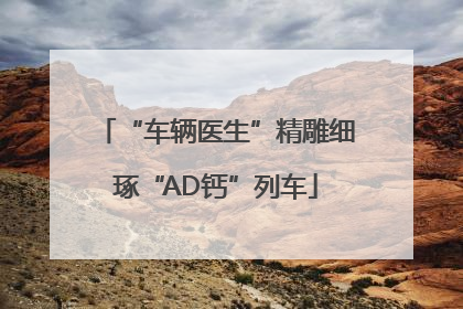 “车辆医生”精雕细琢“AD钙”列车