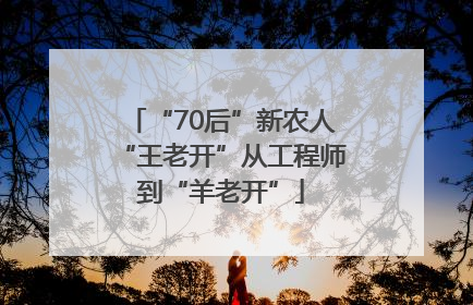 “70后”新农人“王老开”从工程师到“羊老开”