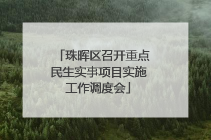 珠晖区召开重点民生实事项目实施工作调度会