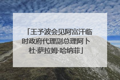 王予波会见阿富汗临时政府代理副总理阿卜杜·萨拉姆·哈纳菲