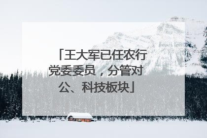 王大军已任农行党委委员，分管对公、科技板块