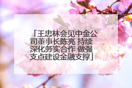 王忠林会见中金公司董事长陈亮 持续深化务实合作 做强支点建设金融支撑