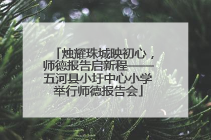 烛耀珠城映初心，师德报告启新程——五河县小圩中心小学举行师德报告会