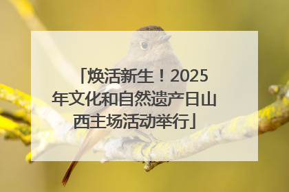 焕活新生！2025年文化和自然遗产日山西主场活动举行