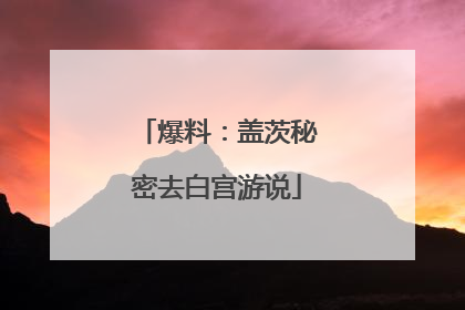 爆料：盖茨秘密去白宫游说