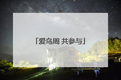 爱鸟周 共参与