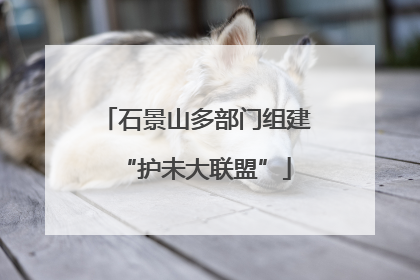 石景山多部门组建“护未大联盟”