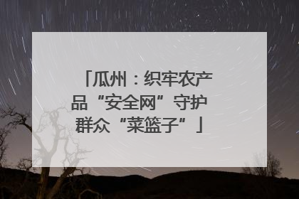 瓜州：织牢农产品“安全网”守护群众“菜篮子”
