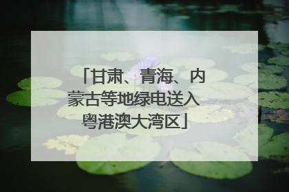 甘肃、青海、内蒙古等地绿电送入粤港澳大湾区