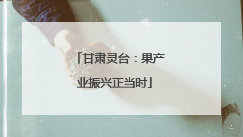 甘肃灵台:果产业振兴正当时
