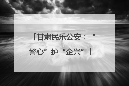 甘肃民乐公安：“警心”护“企兴”