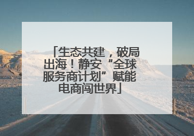 生态共建，破局出海！静安“全球服务商计划”赋能电商闯世界