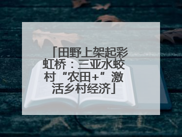田野上架起彩虹桥：三亚水蛟村“农田+”激活乡村经济