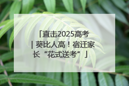 直击2025高考｜葵比人高！宿迁家长“花式送考”