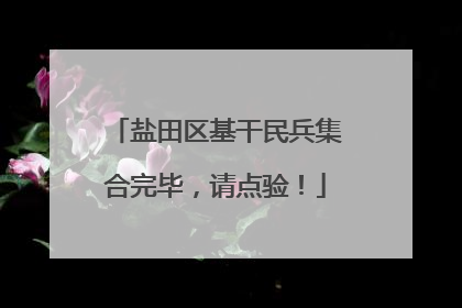 盐田区基干民兵集合完毕，请点验！