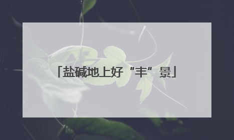 盐碱地上好“丰”景