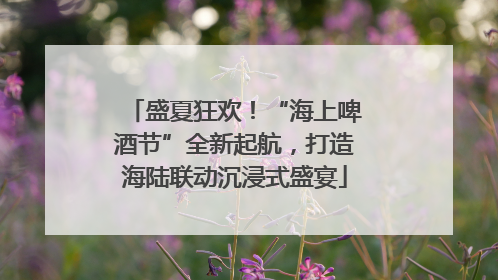 盛夏狂欢！“海上啤酒节”全新起航，打造海陆联动沉浸式盛宴