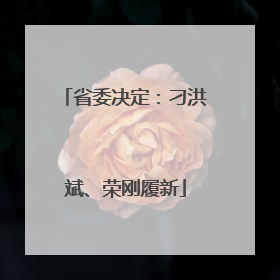 省委决定：刁洪斌、荣刚履新